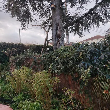 Bords De Loire 公寓 圣塞巴斯蒂安苏尔