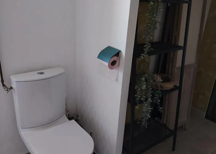 Bords De Loire * Saint-Sébastien-sur-Loire